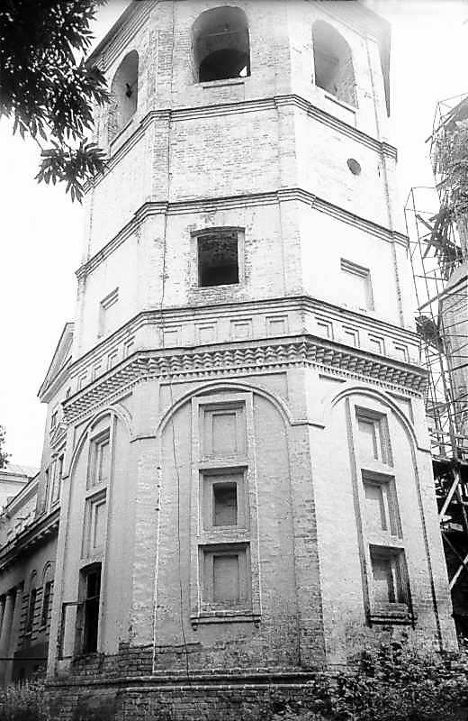 1983 р. Нижні яруси. Загальний вигляд…