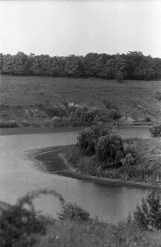 1983 р. Краєвид зі ставком біля…