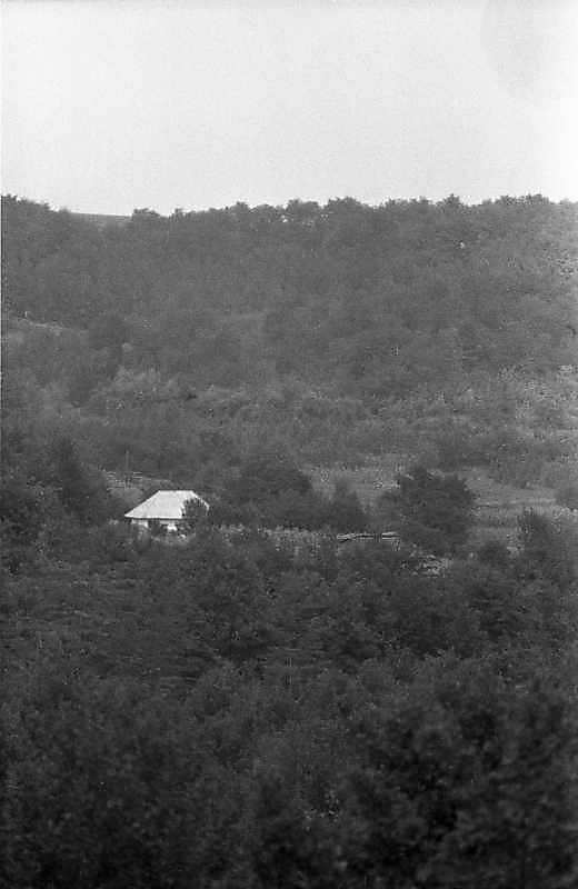 Краєвид з хатою в лісовій балці