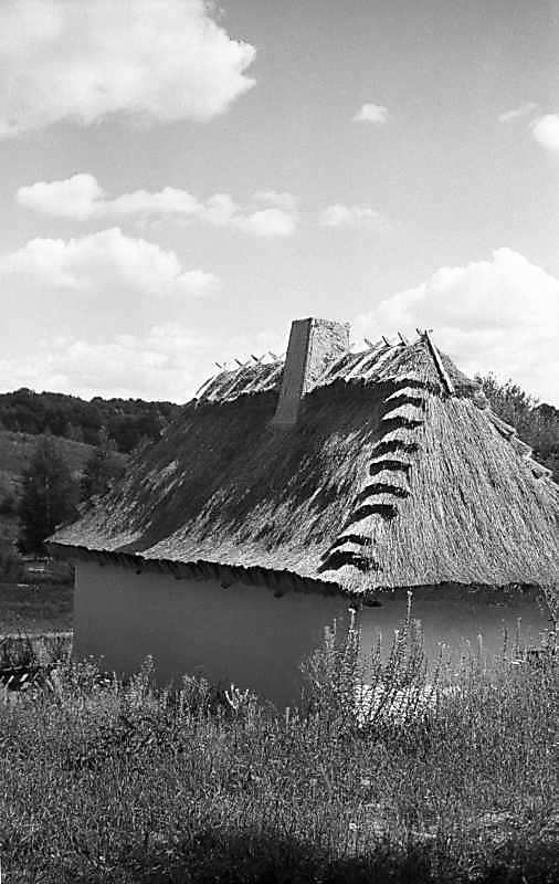 1983 р. Загальний вигляд з тильного боку