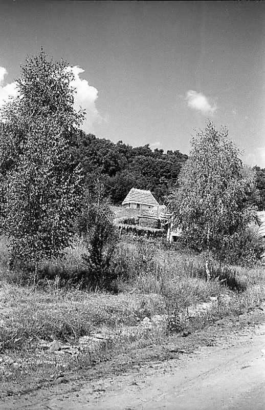 1983 р. Вид з перспективою хати