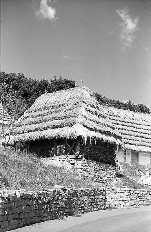 1983 р. Загальний вигляд