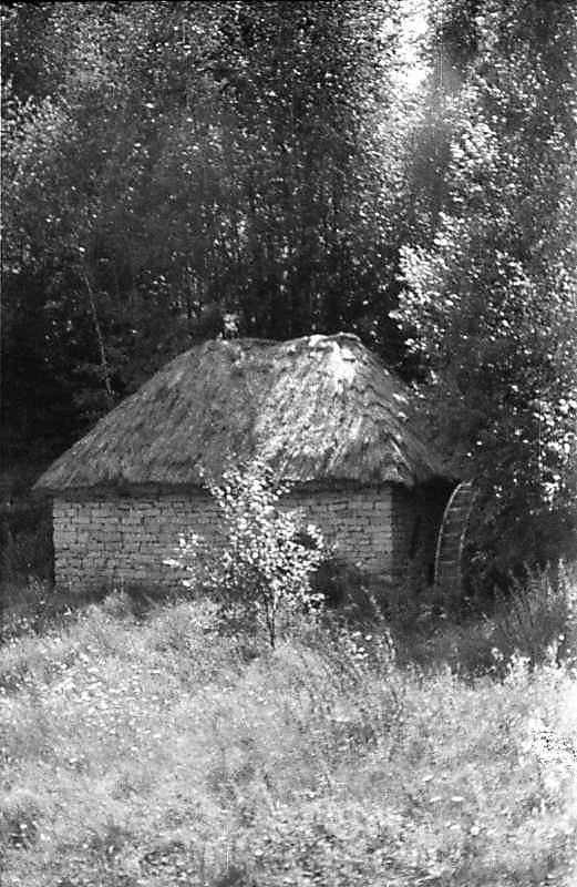 1983 р. Загальний вигляд