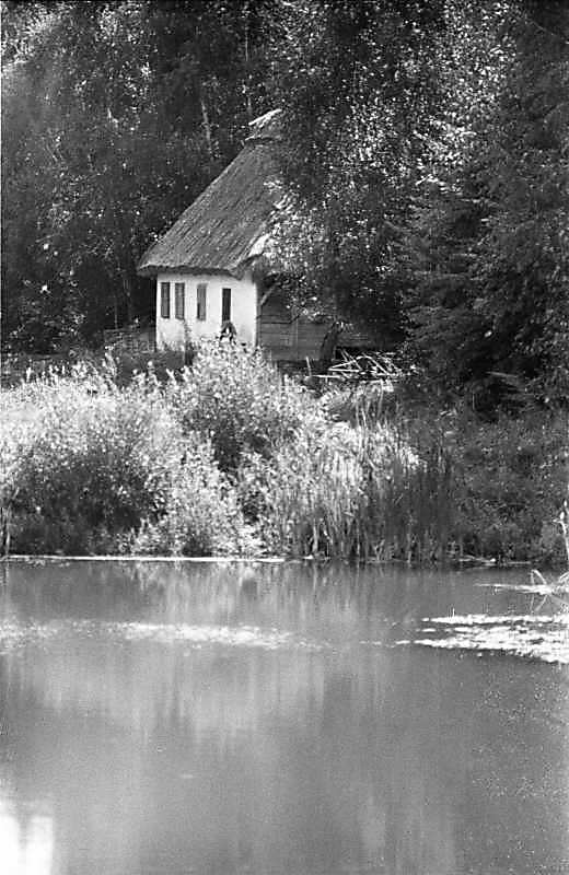 Млин-хата із с.Ломачинці [№ 5]