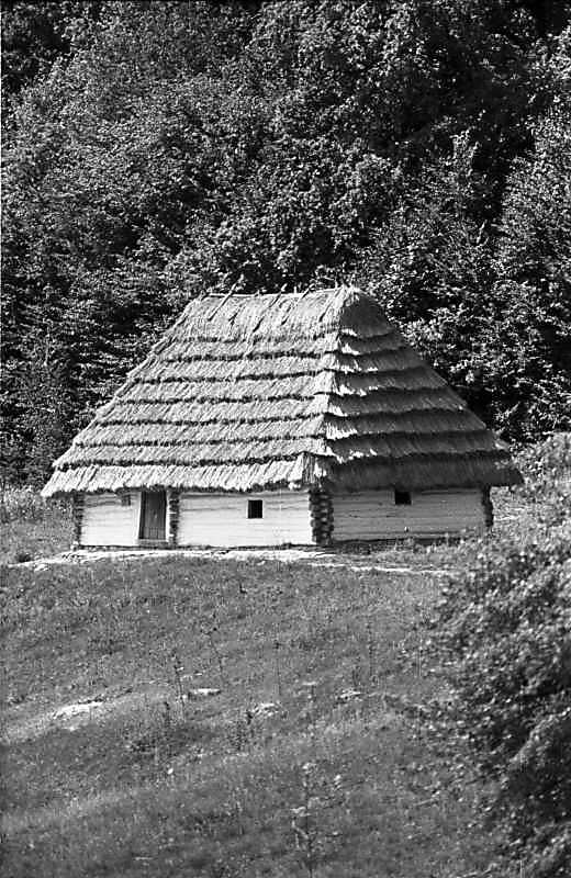 1983 р. Загальний вигляд