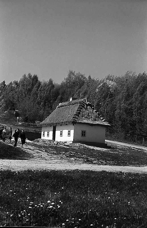 1984 р. Загальний вигляд