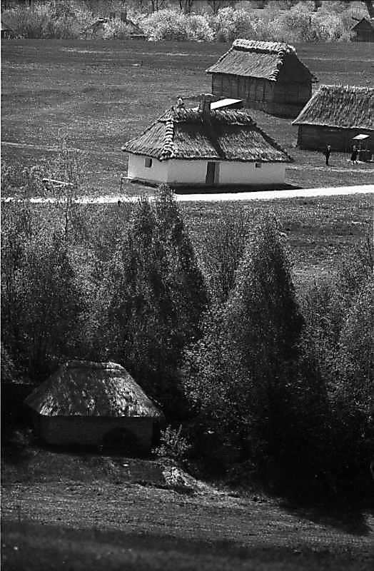 1984 р. Загальний вигляд