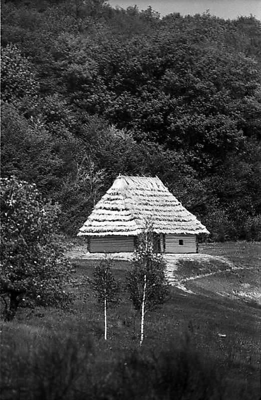 1984 р. Загальний вигляд