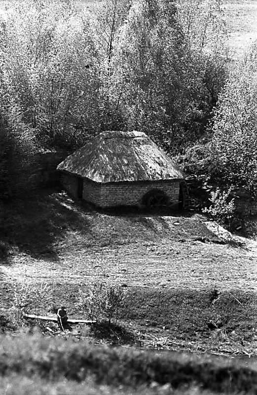 1984 р. Загальний вигляд