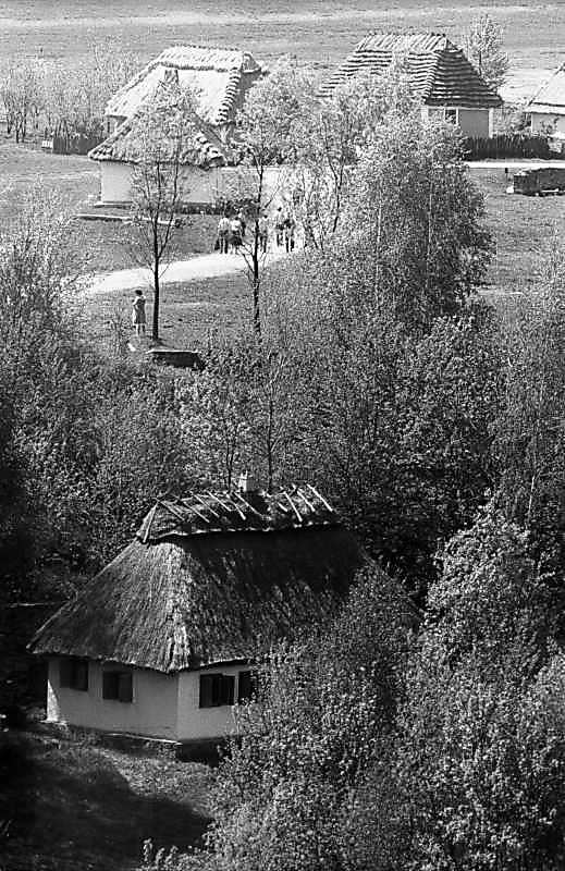 1984 р. Млин 7а, хата з Лугів, садиба…