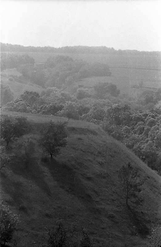 1984 р. Вид на городище