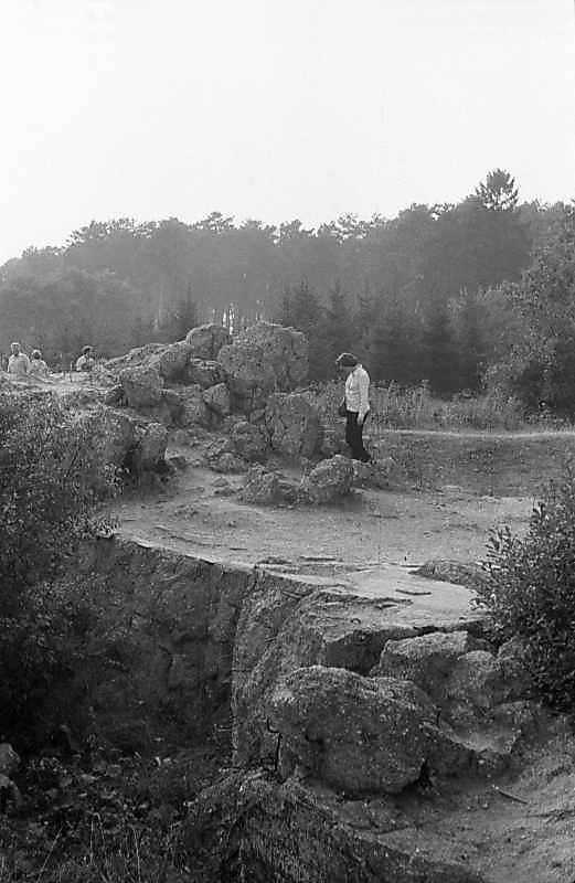 Ставка Гітлера “Вервольф”