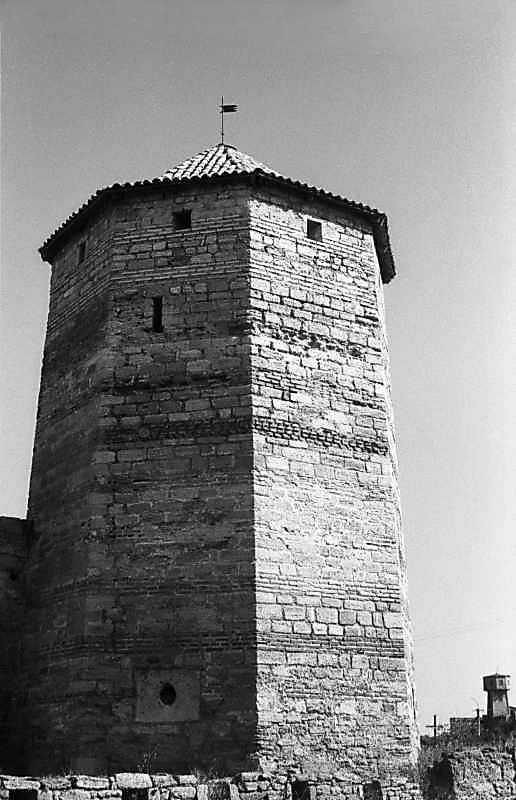 1984 р. Загальний вигляд з південного…