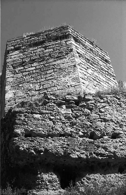 1984 р. Вигляд з півдня, з рову