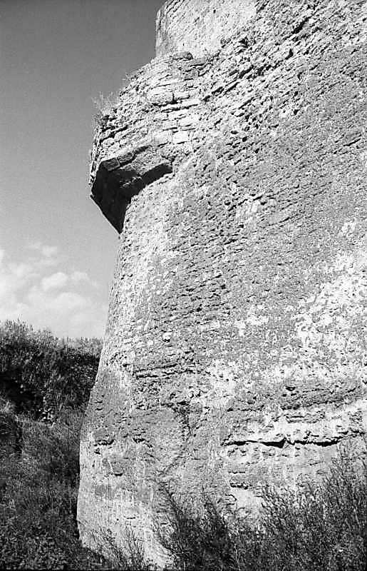 1984 р. Основа башти 12. Вигляд з…