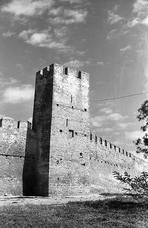 1984 р. Загальний вигляд з південного…