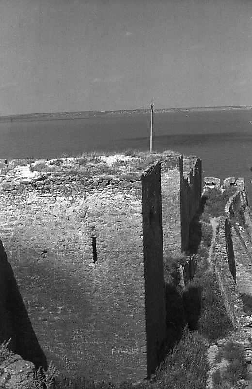 1984 р. Башти 31, 30. Вигляд з півдня,…