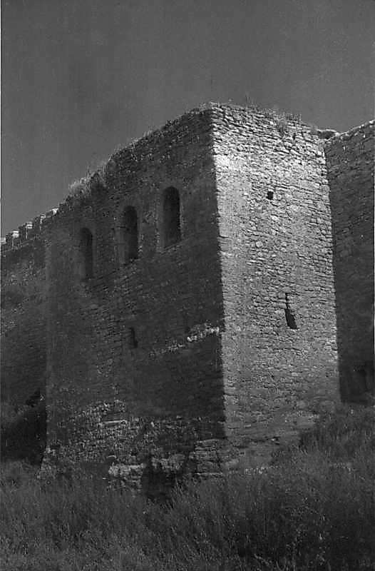 1984 р. Загальний вигляд із заходу