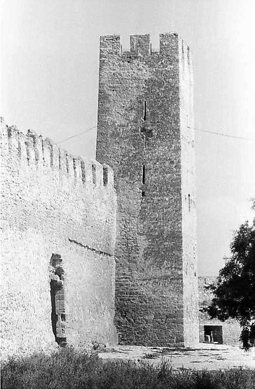 1984 р. Загальний вигляд із заходу