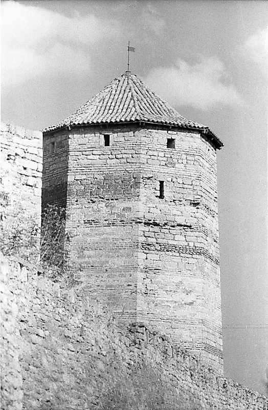 1984 р. Загальний вигляд із заходу, з…