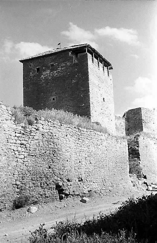 1984 р. Загальний вигляд із заходу