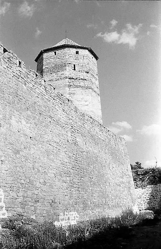 1984 р. Загальний вигляд із заходу, з…