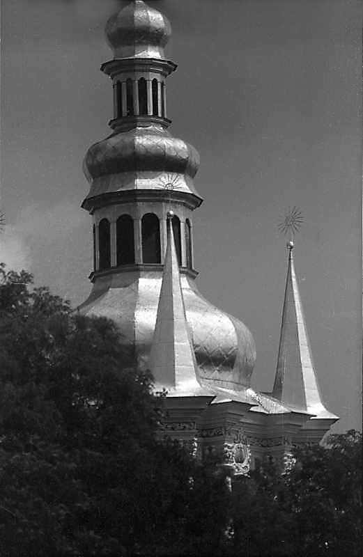 1985 р. Верхній ярус. Вигляд з…