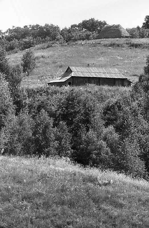 1985 р. Загальний вигляд