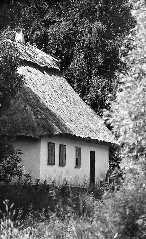 1985 р. Чільний фасад в ракурсі