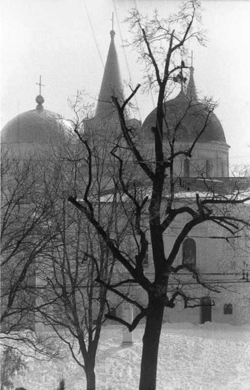 1987 р. Загальний вигляд дитинця з…