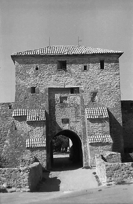 Надбрамна башта (1)