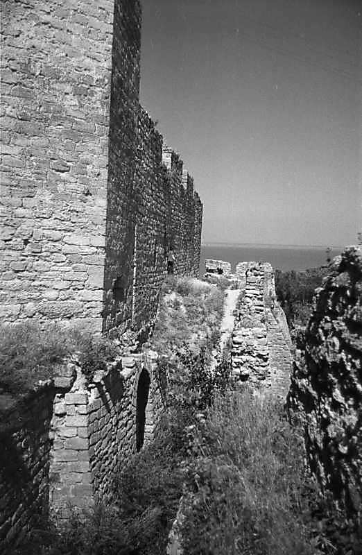 1987 р. Фрагменти верхньої та нижньої…