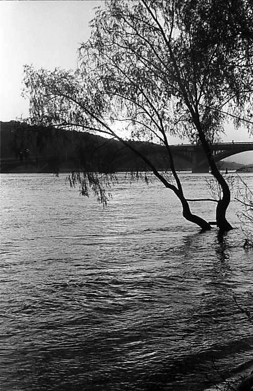 1988 р. Вид з Гідропарку на правий…