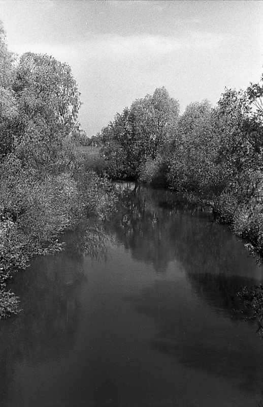 1988 р. Вид на ріку Трубіж