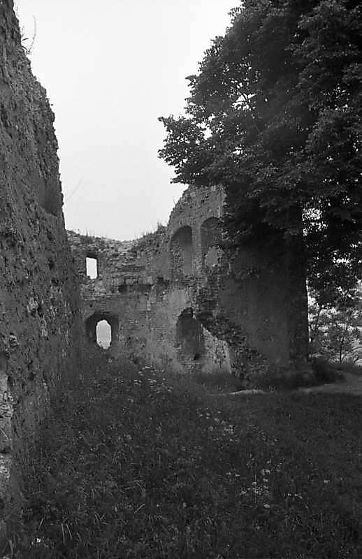 1988 р. Башта. Загальний вигляд зі сходу