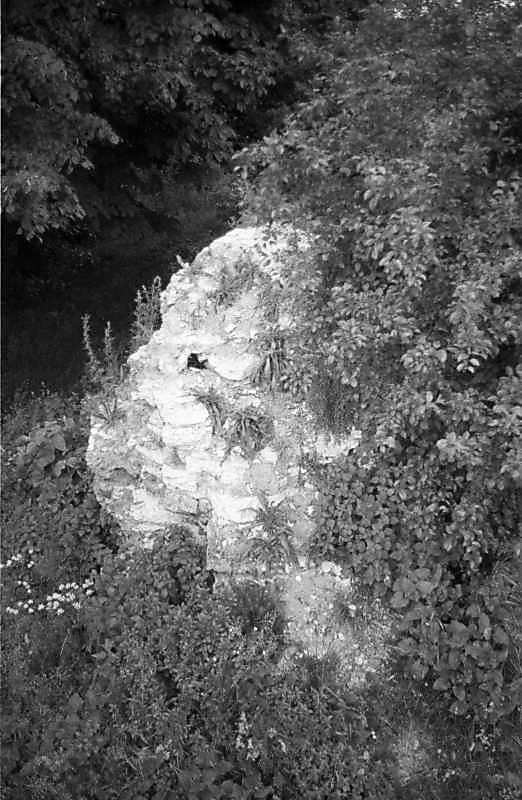 1988 р. Фрагмент чільного муру