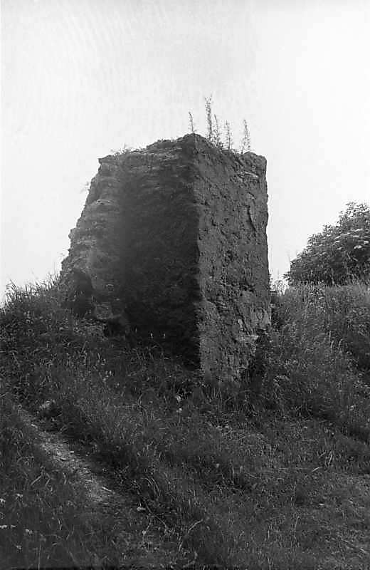 1988 р. Фрагмент чільного муру. Вигляд…