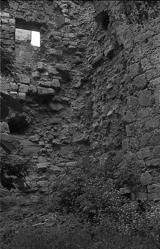 1977 р. Фрагмент прясла 7