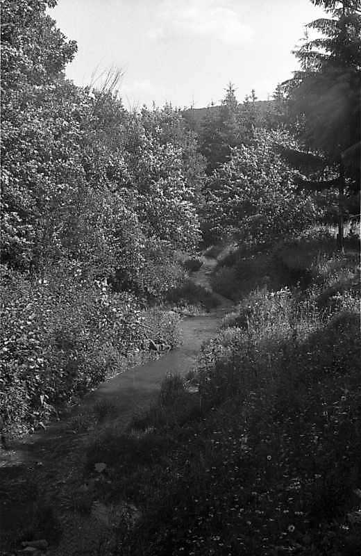 1988 р. Потічок в долині між селами…