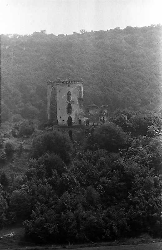 1988 р. Загальний вигляд з півночі