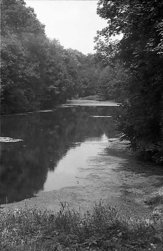 1988 р. Вид на ставок