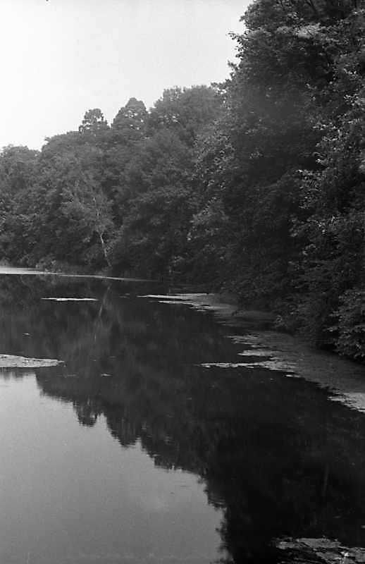 1988 р. Вид на ставок