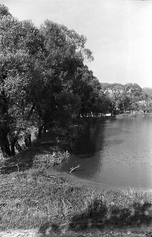 1988 р. Гребля ставу