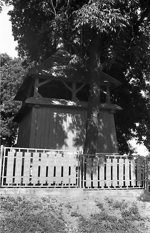 1989 р. Дзвіниця. Вигляд із заходу