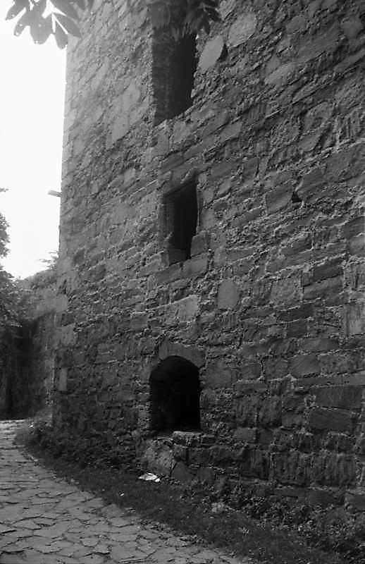 1989 р. Фрагмент східного фасу башти 8