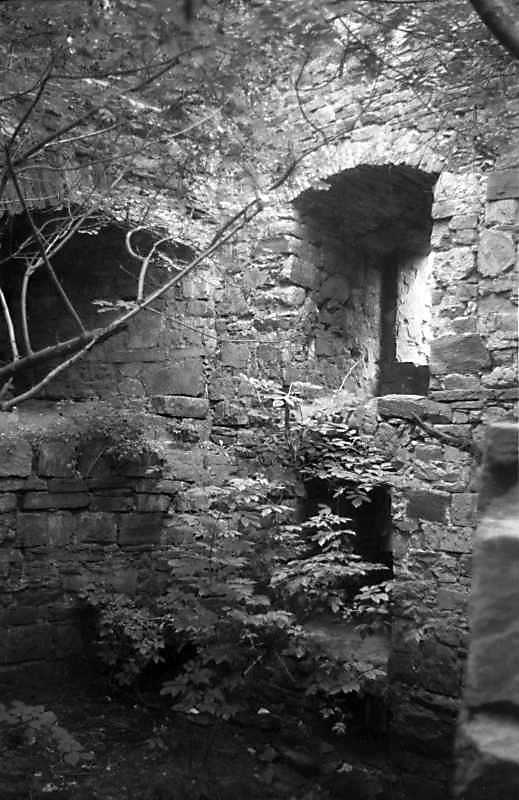 1989 р. Інтер’єр