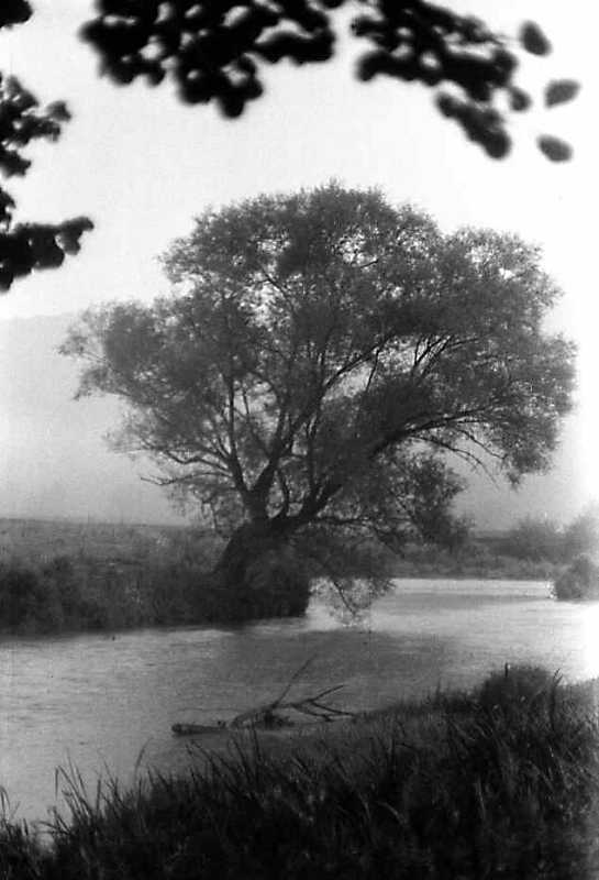 1989 р. Вид на ріку Серет вище села