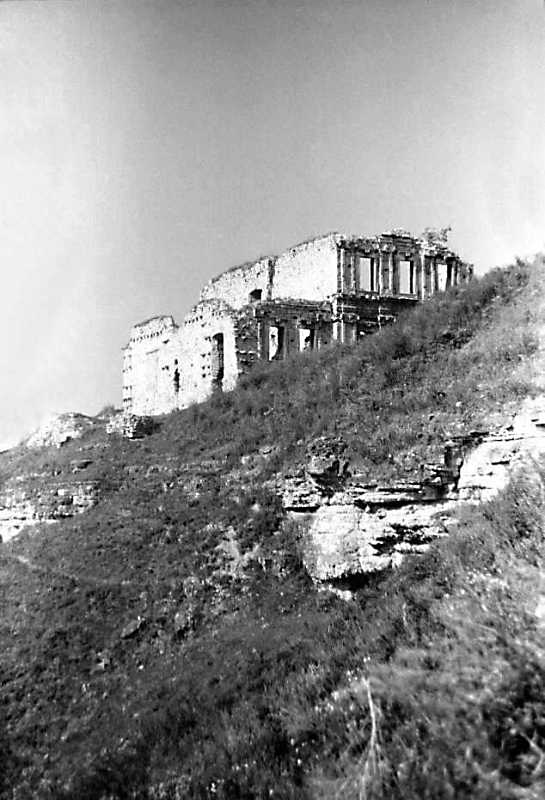 1989 р. Схил замкової гори і палац.…