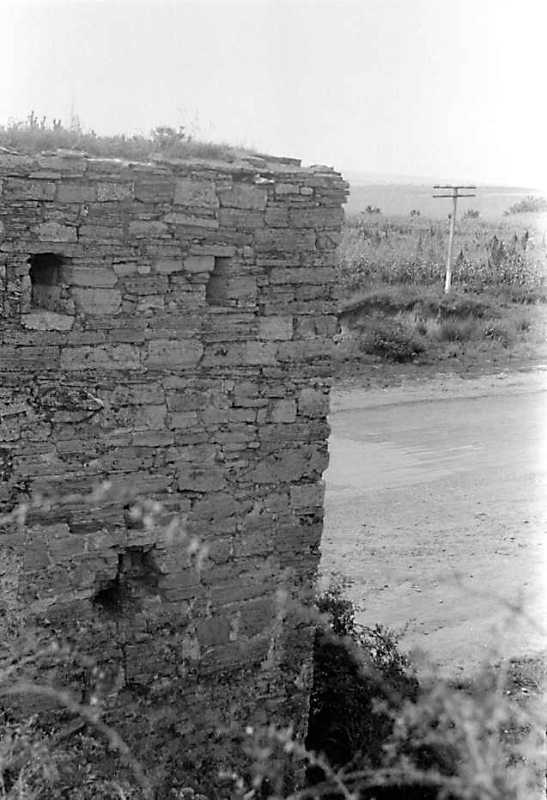 1989 р. Фрагмент верхнього ярусу.…