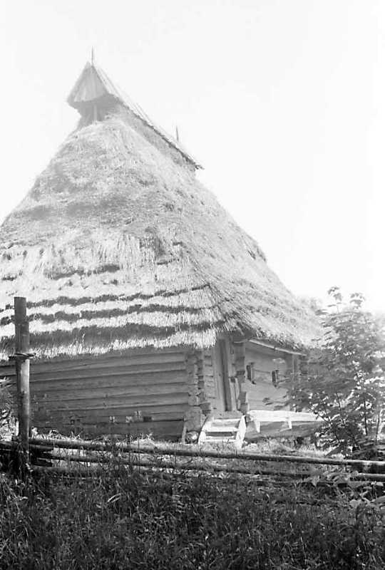 1990 р. Загальний вигляд